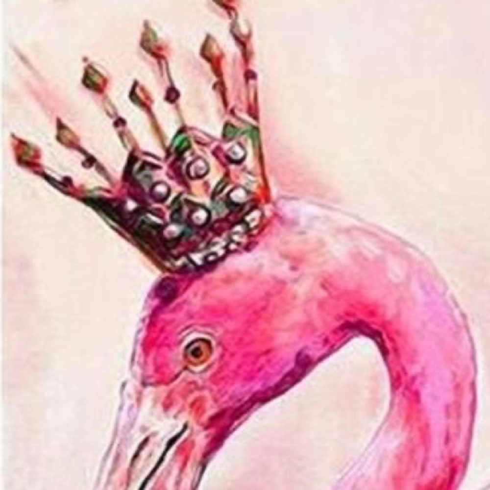 Meet your Posher, Kacey